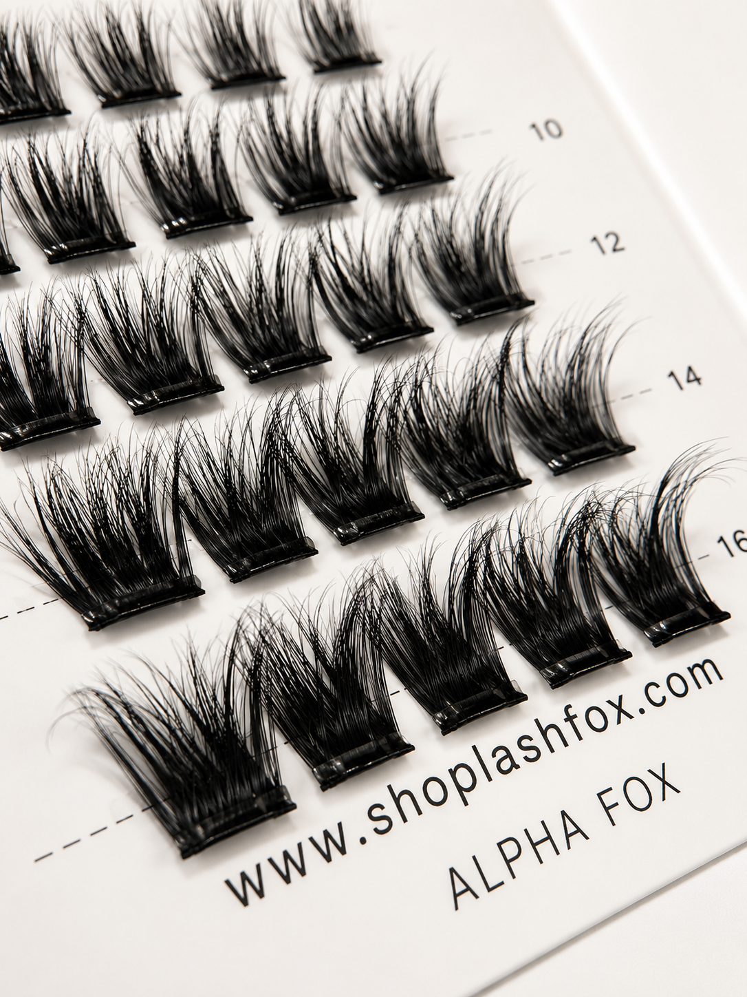 LashFox ALPHA Press-On Lashes Kit – No Glue Needed, DIY Lash Extensions, Wispy  Lashes, Reusable Natural Look, 5–12 Day Wear