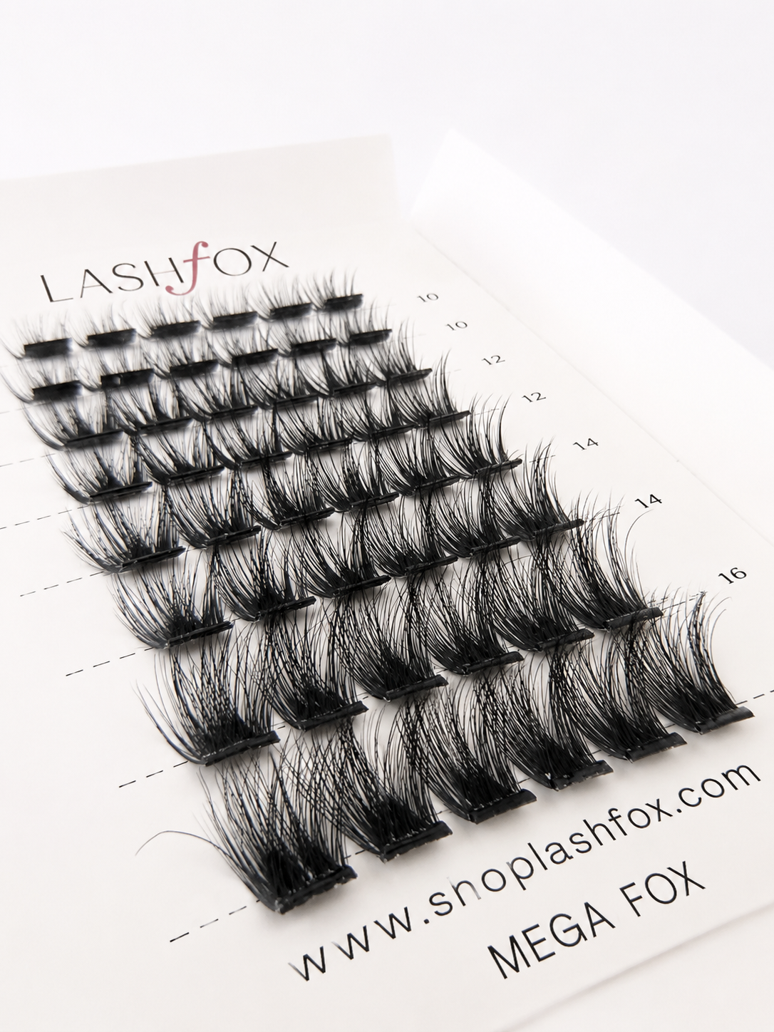 LashFox MEGA Press-On Lashes Kit – No Glue Needed, DIY Lash Extensions, Wispy  Lashes, Reusable Natural Look, 5–12 Day Wear