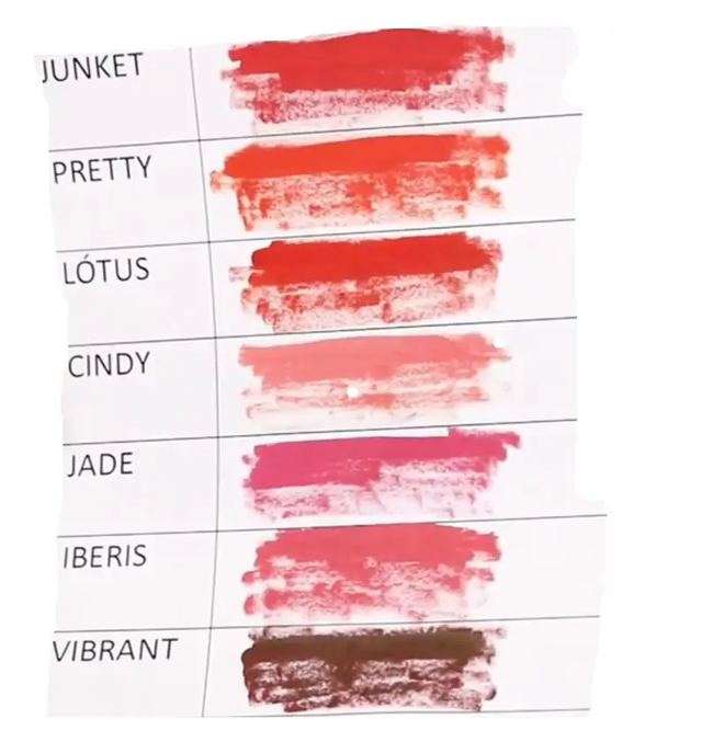 Nuance Kit Pigments Organic Tattoo Ink  5ml for blush lips and Lips Tattoo